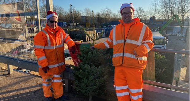 People urged to 'TreeCycle' after the festive season