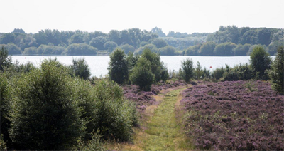 Chasewater 2 resized - Credit Sam Carpenter