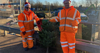 Staff at Stafford HWRC prepare to recycle a tree.