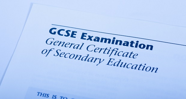 Image for Variety of options available to students after GCSEs