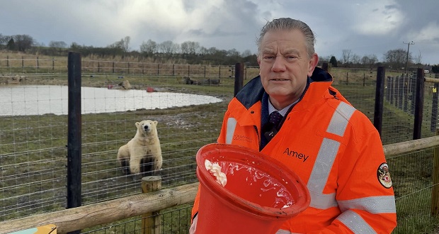 Image for Highways crews treat polar bears to their favourite toys