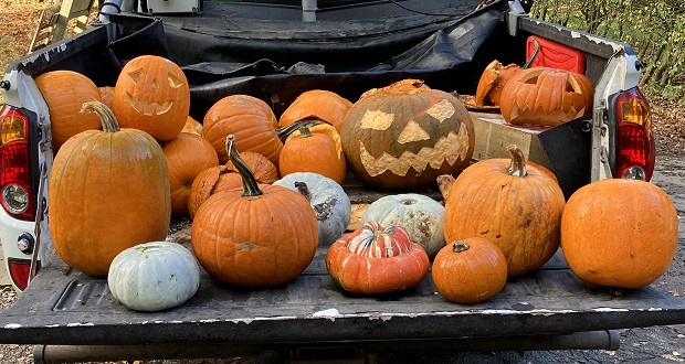 Image for Don't let your Halloween pumpkins haunt Staffordshire's parks