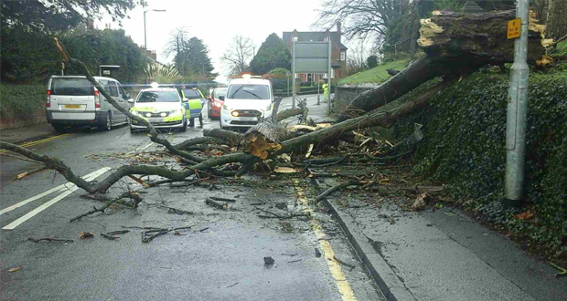 Image for Crews work to deal with summer storm