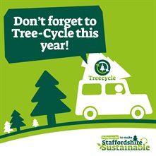 JOB10548-Staffs County Council-Tree cycle social post Tree-cycle